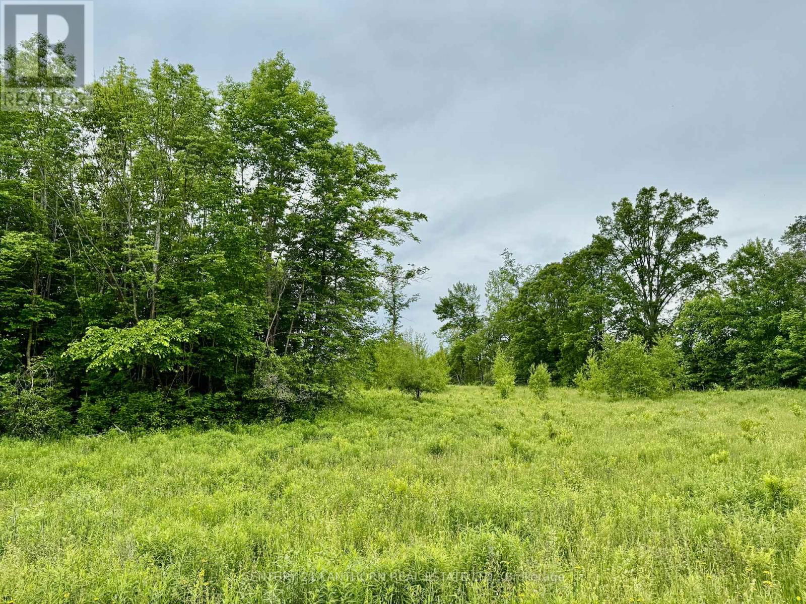00 COOPER ROAD Image 5