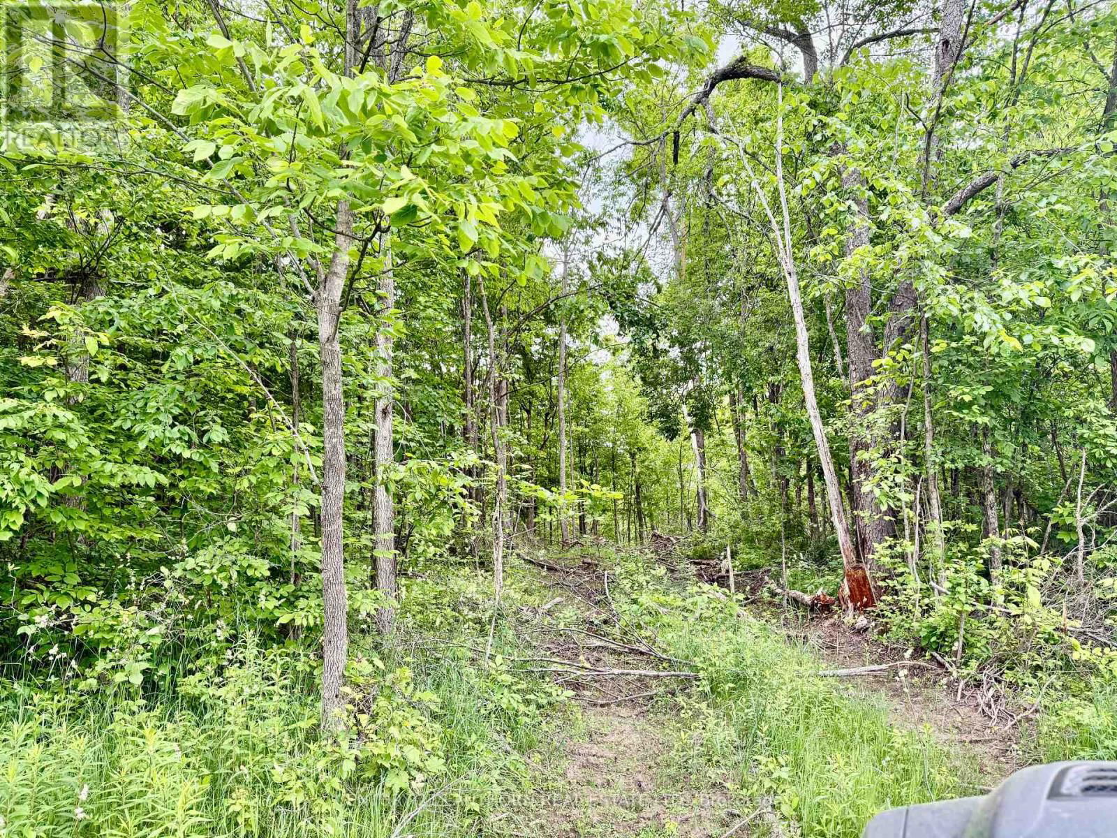 00 COOPER ROAD Image 9