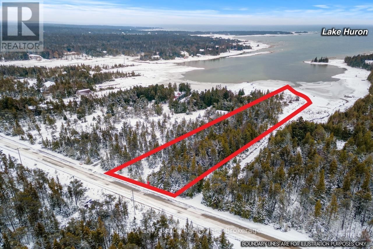Primary Property View