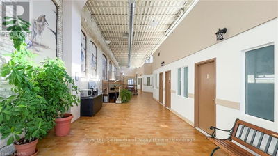 Businesses for Sale in 