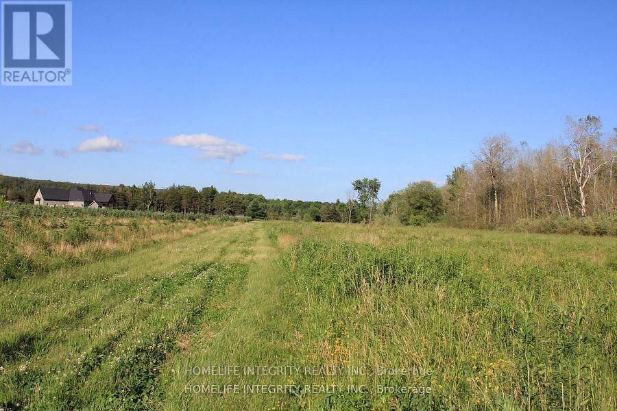 628326 15TH SIDE ROAD Image 8