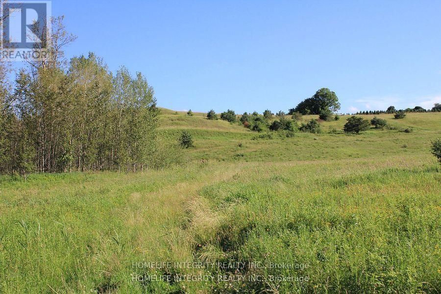 628326 15TH SIDE ROAD Image 9