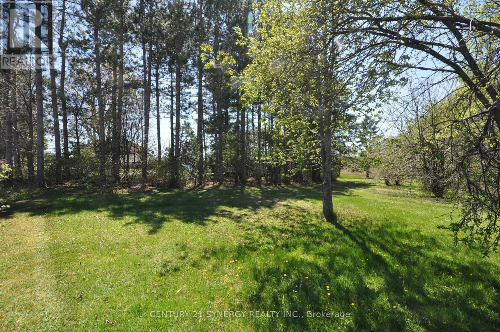 12009 HIGHWAY 15 Image 38