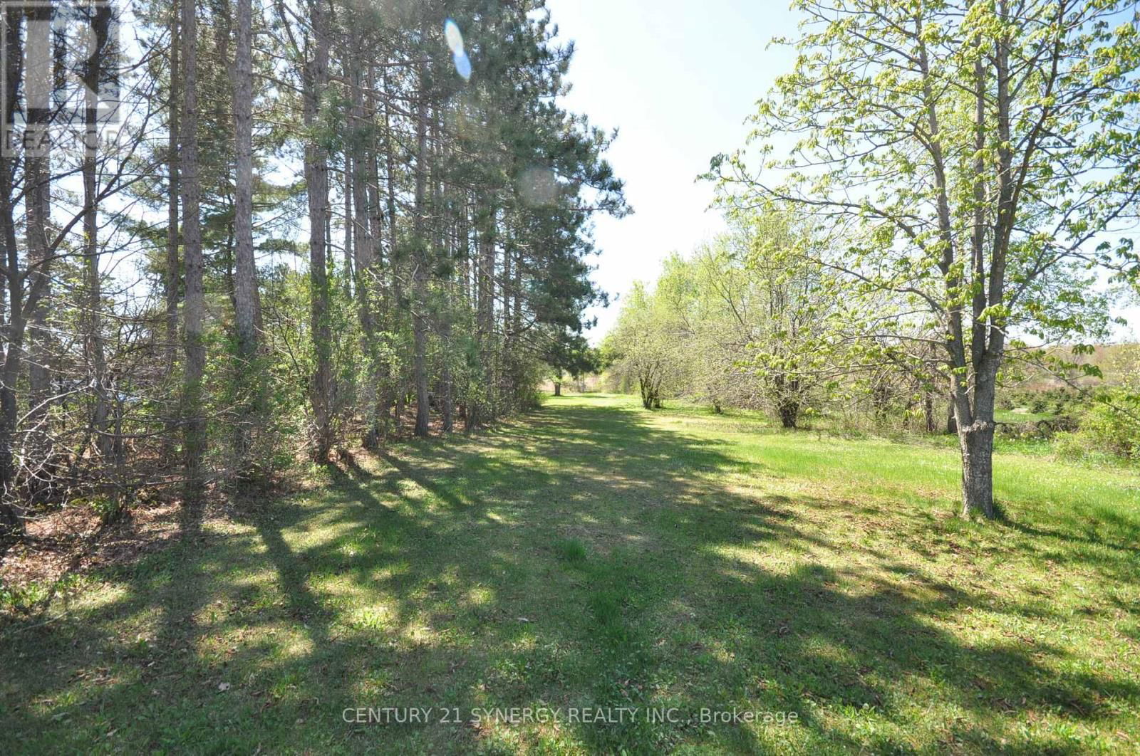 12009 HIGHWAY 15 Image 39