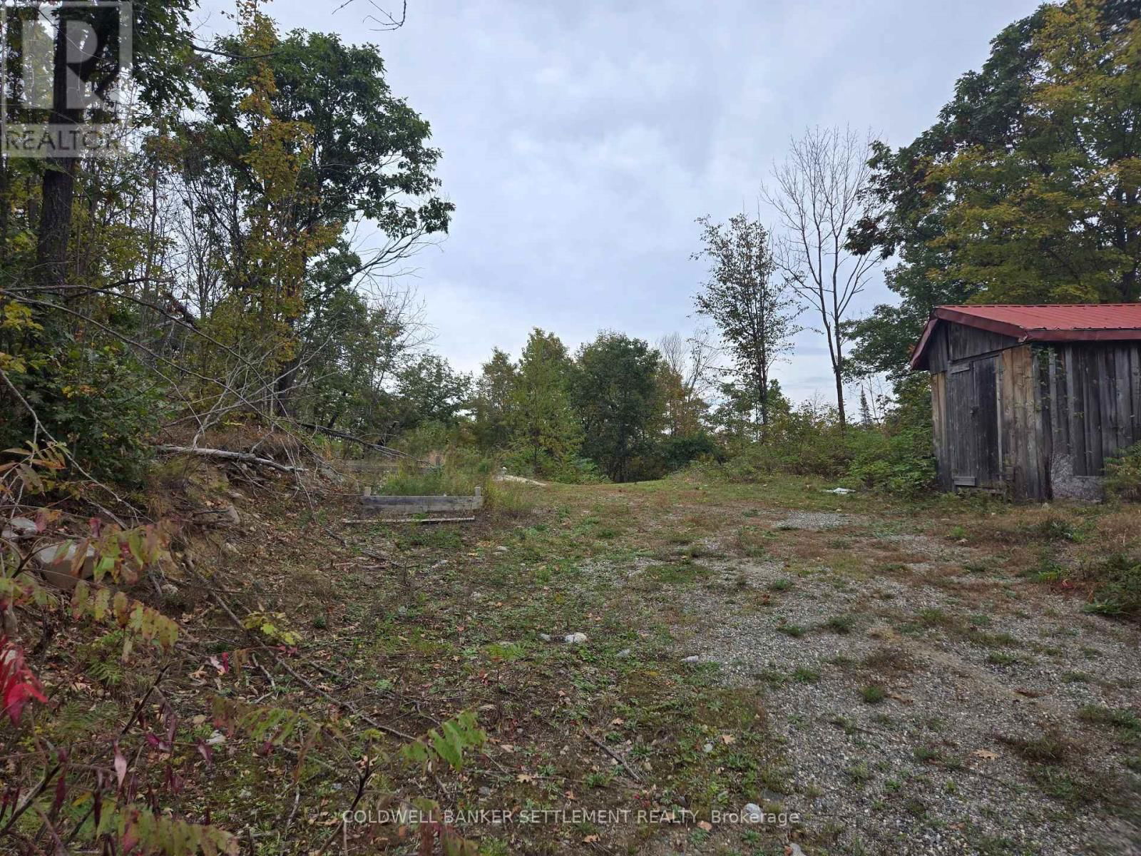 16245 509 ROAD Image 8