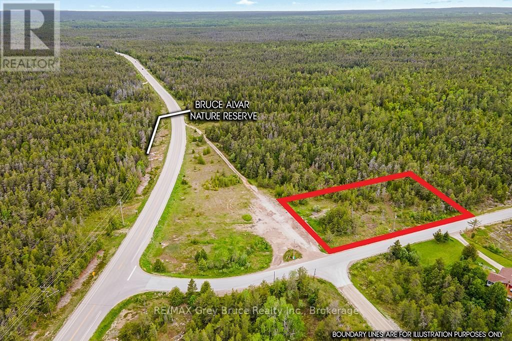 Primary Property View