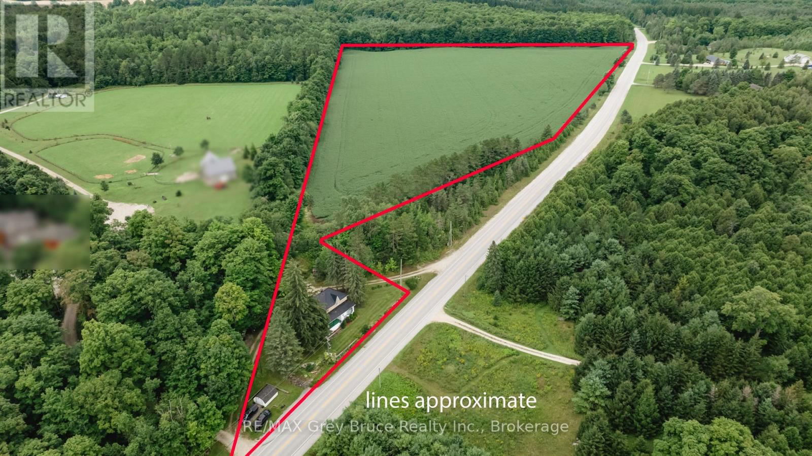 Primary Property View