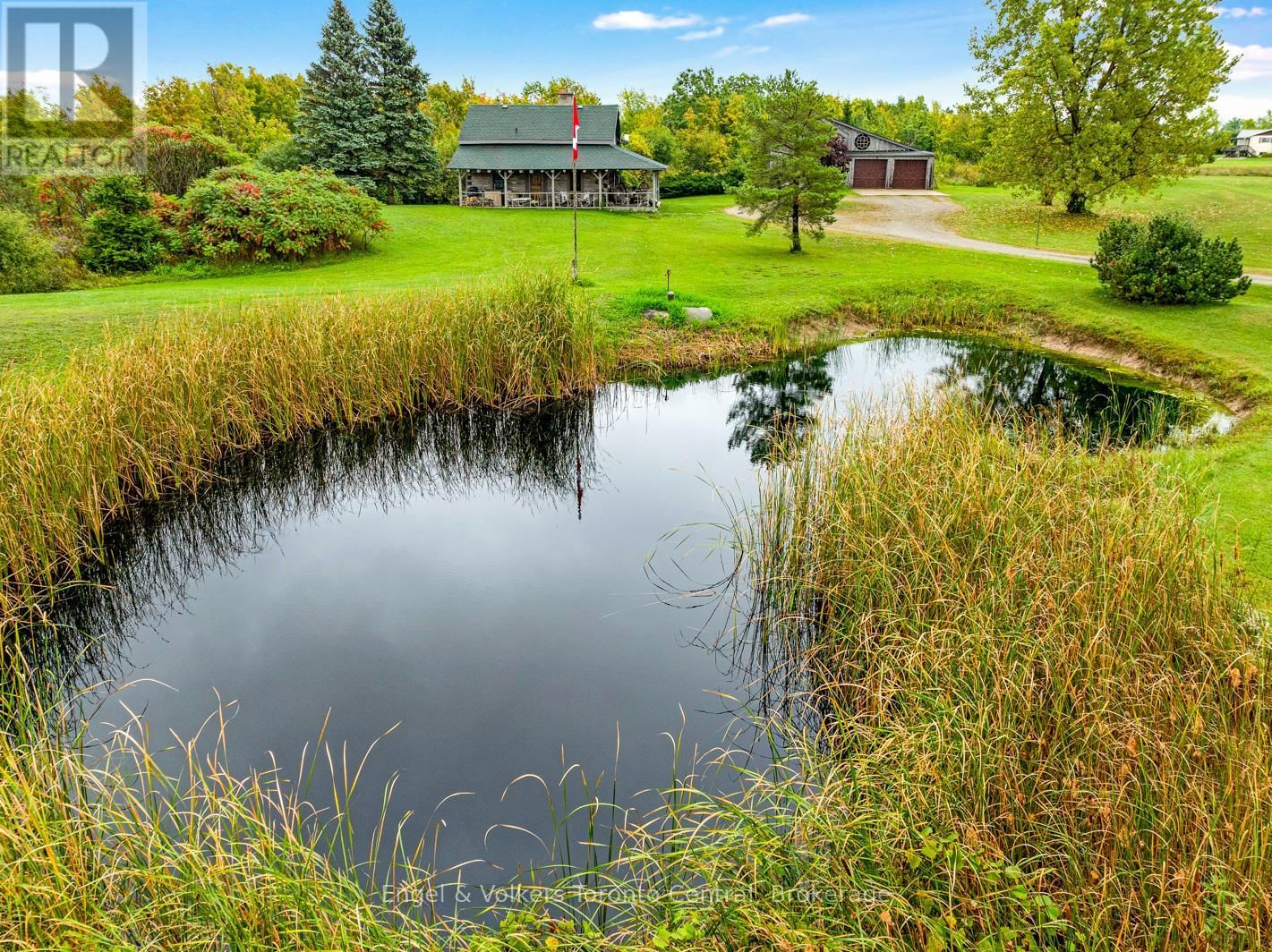 Primary Property View