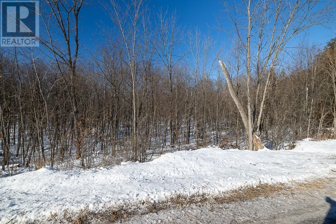 1030 BIRCHVIEW ROAD Image 6