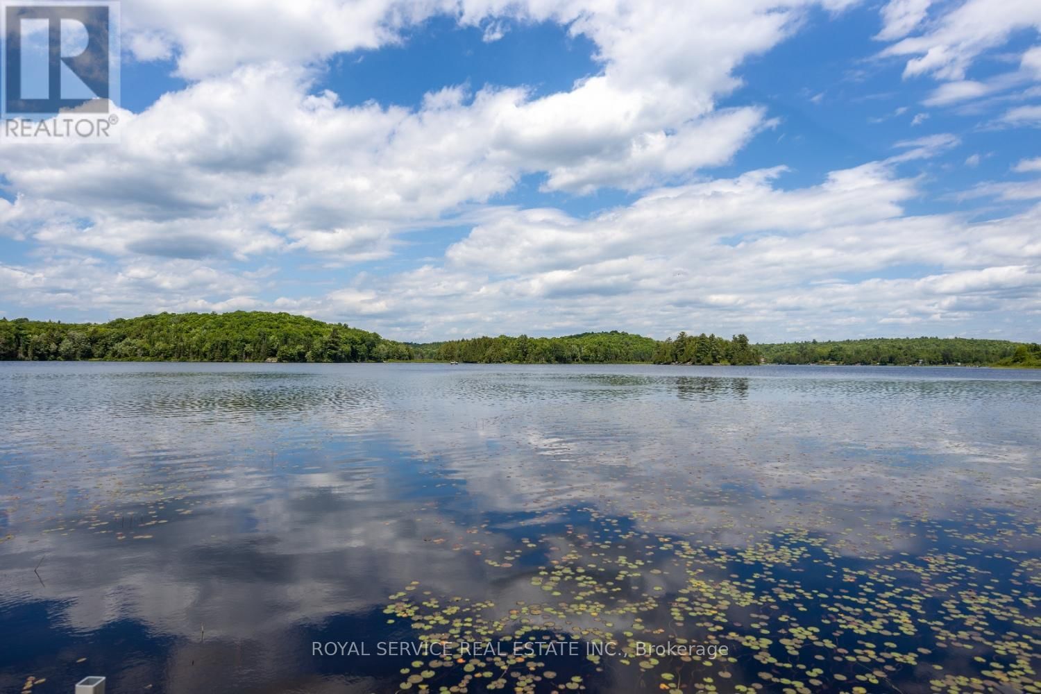 2104 BRADY LAKE ROAD Image 33