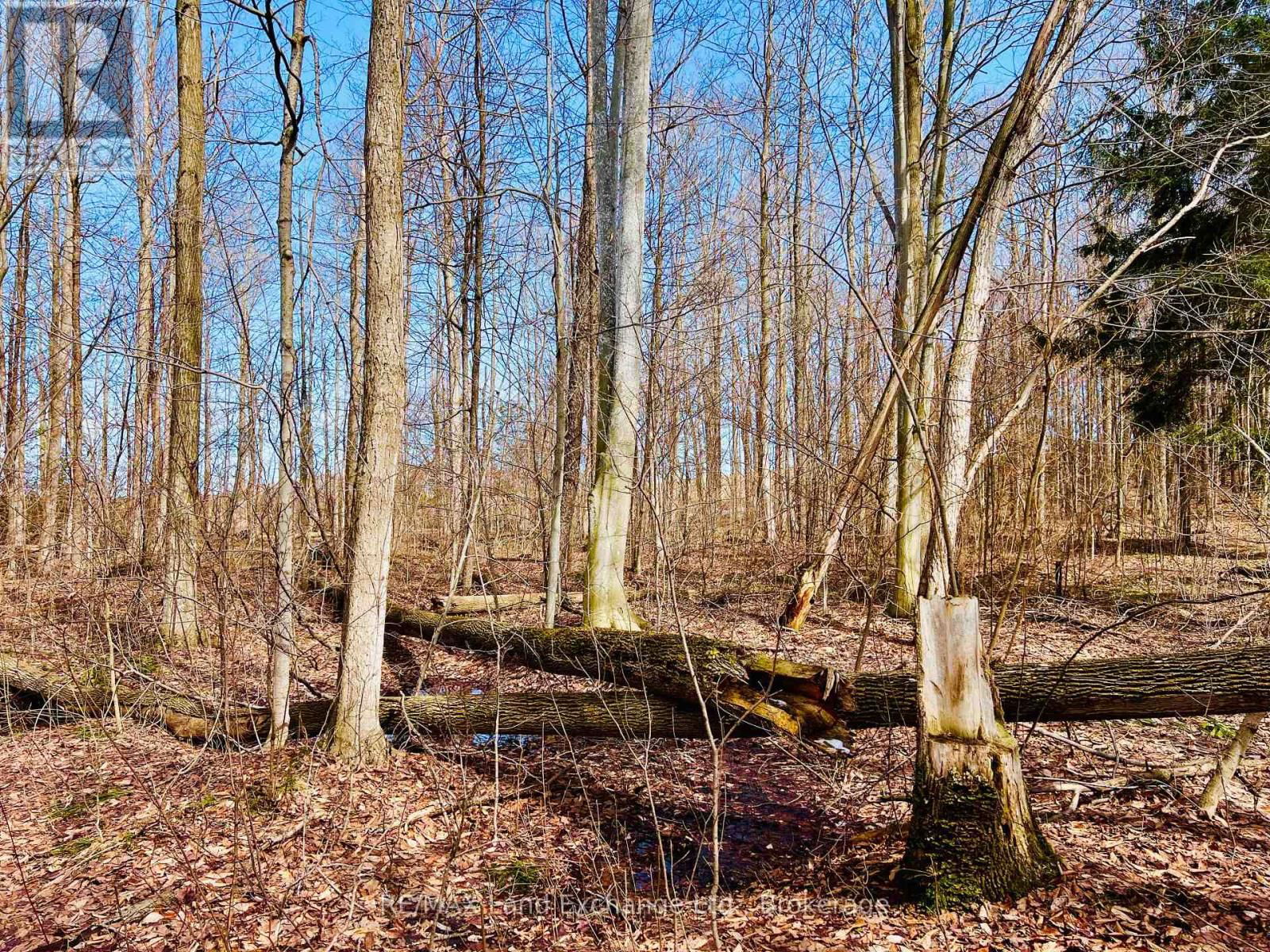 36720 RIVER ROAD Image 7