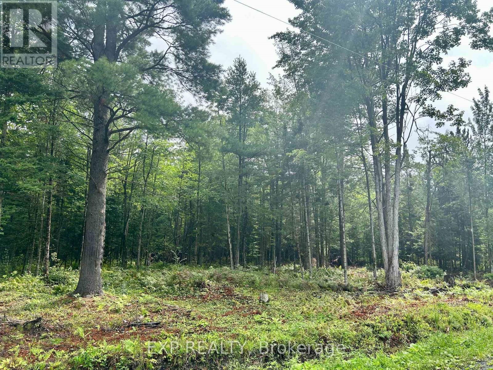 0 14 ROUTE Image 12