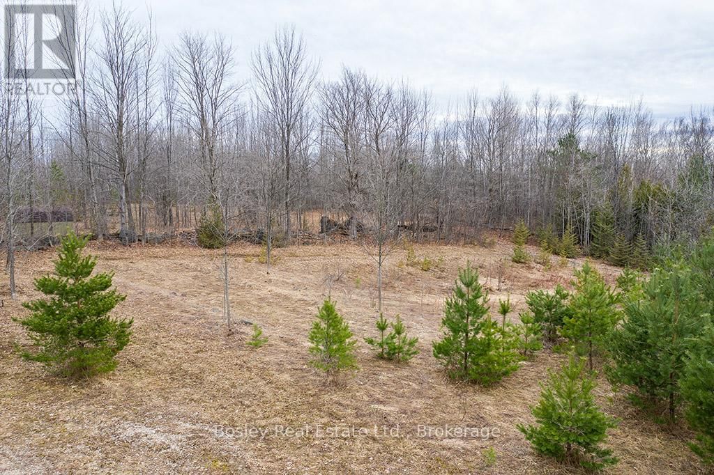 LT11-12 10 SIDE ROAD Image 9