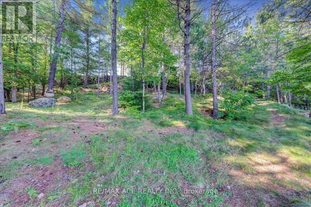 119 GAZELLE TRAIL Image 11