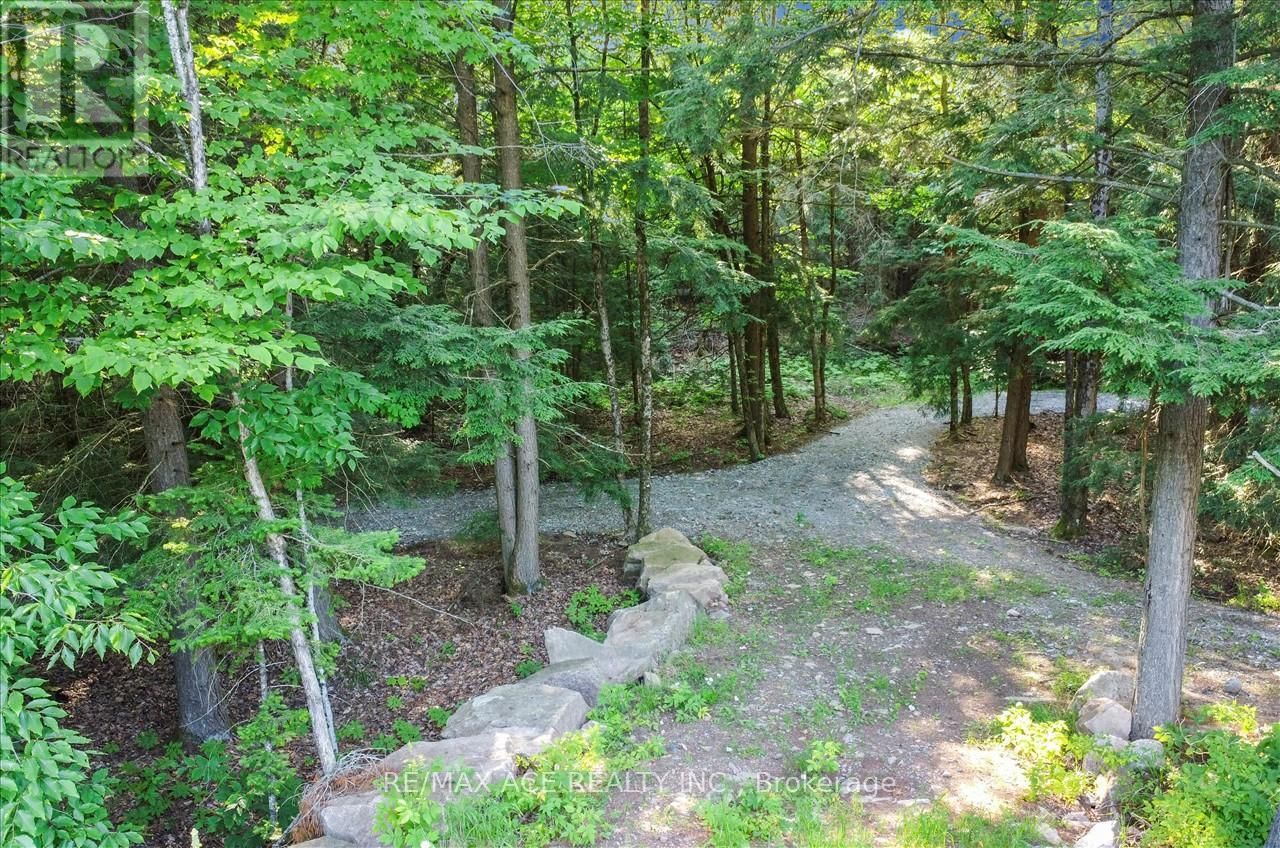 119 GAZELLE TRAIL Image 27