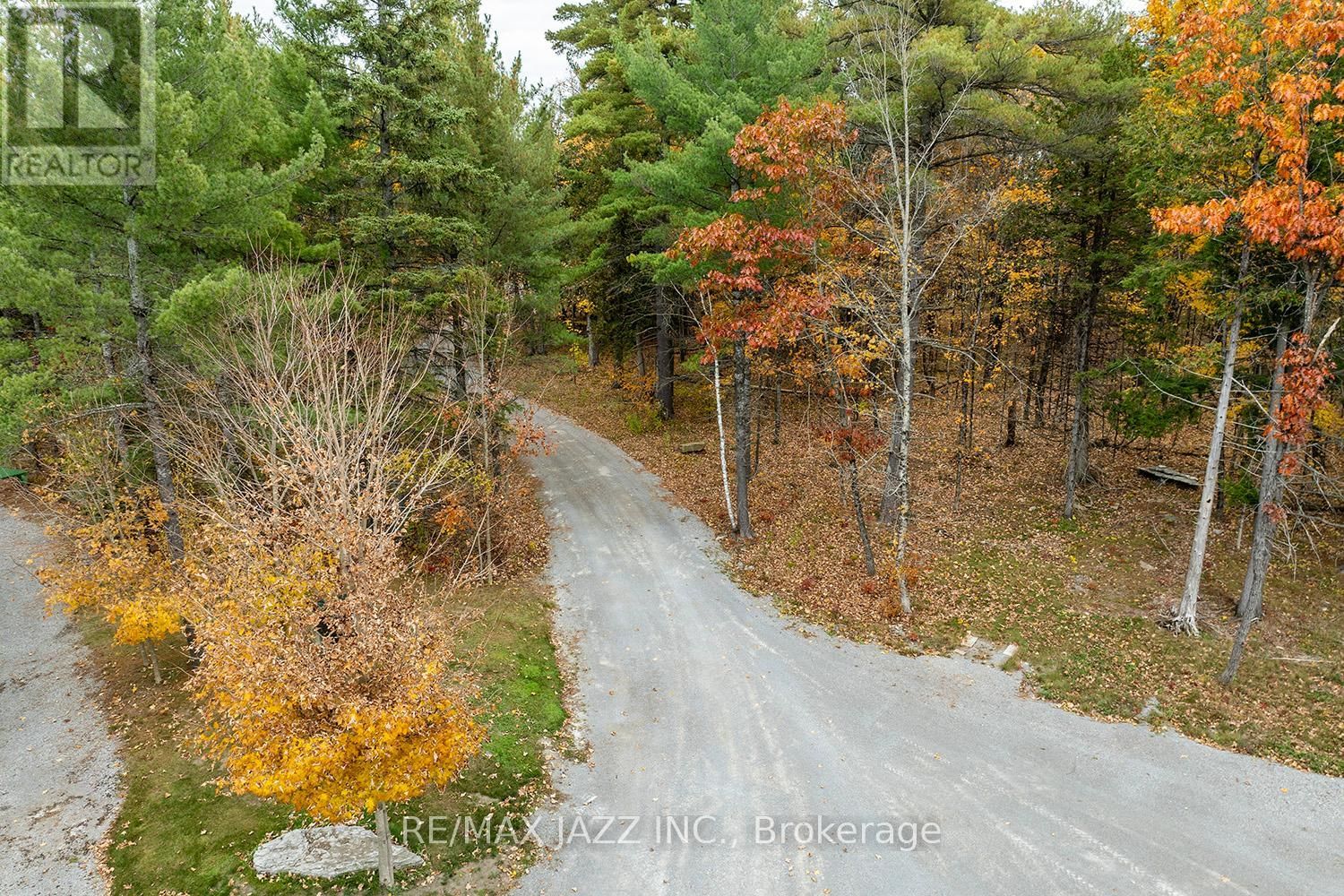 19 LEDGE ROAD Image 34