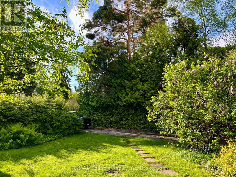 Tertiary Property View