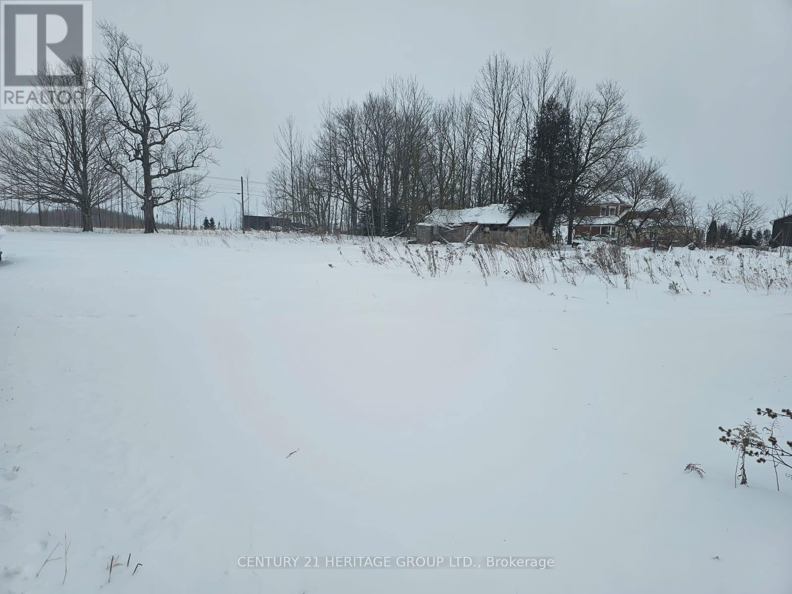 Primary Property View