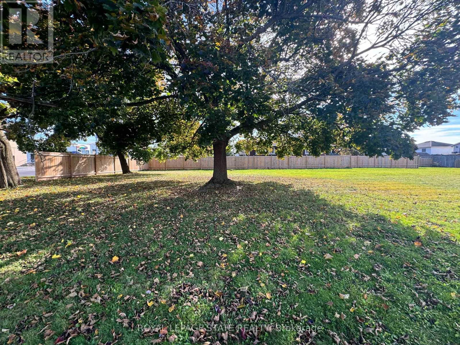 Primary Property View