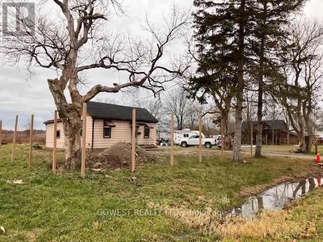Primary Property View