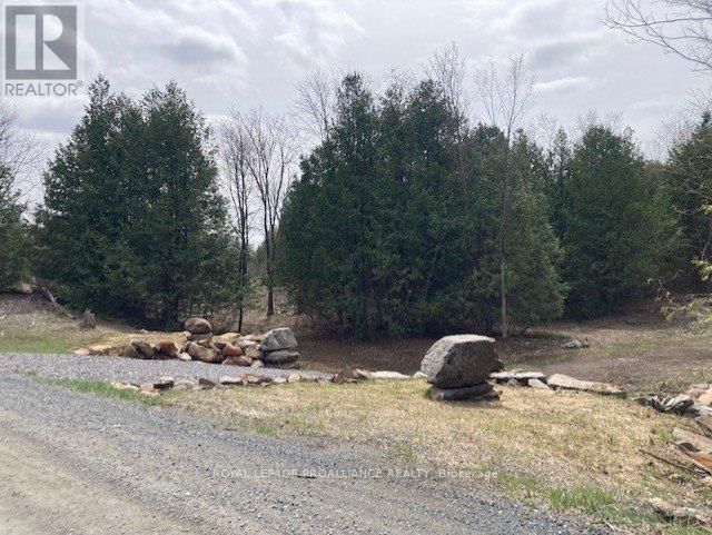 Lot 2 VANSICKLE ROAD NORTH Image 3