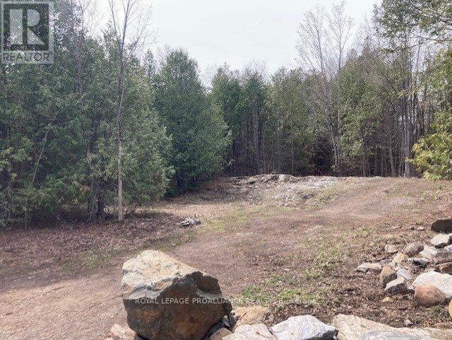 Lot 2 VANSICKLE ROAD NORTH Image 5