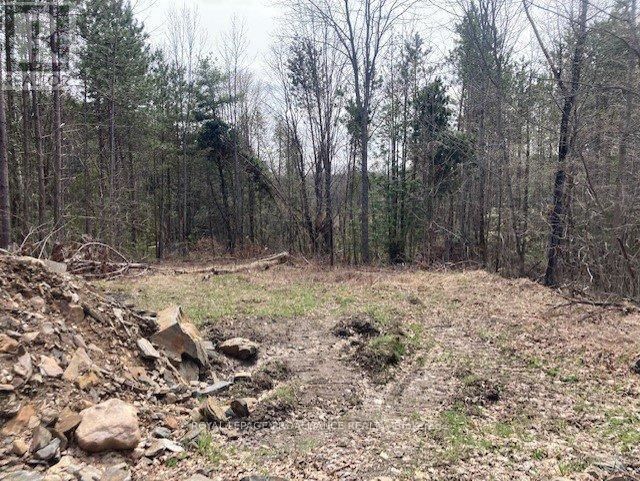 Lot 2 VANSICKLE ROAD NORTH Image 6