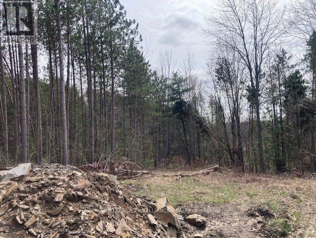 Lot 2 VANSICKLE ROAD NORTH Image 7