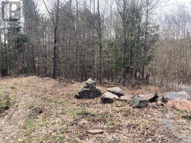 Lot 2 VANSICKLE ROAD NORTH Image 8