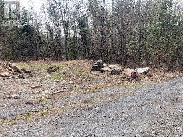 Lot 2 VANSICKLE ROAD NORTH Image 9