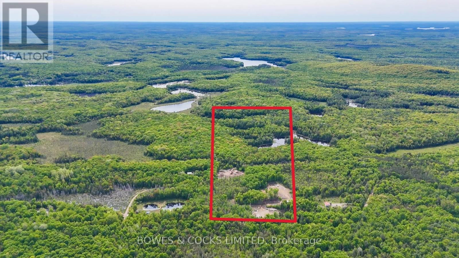 Primary Property View