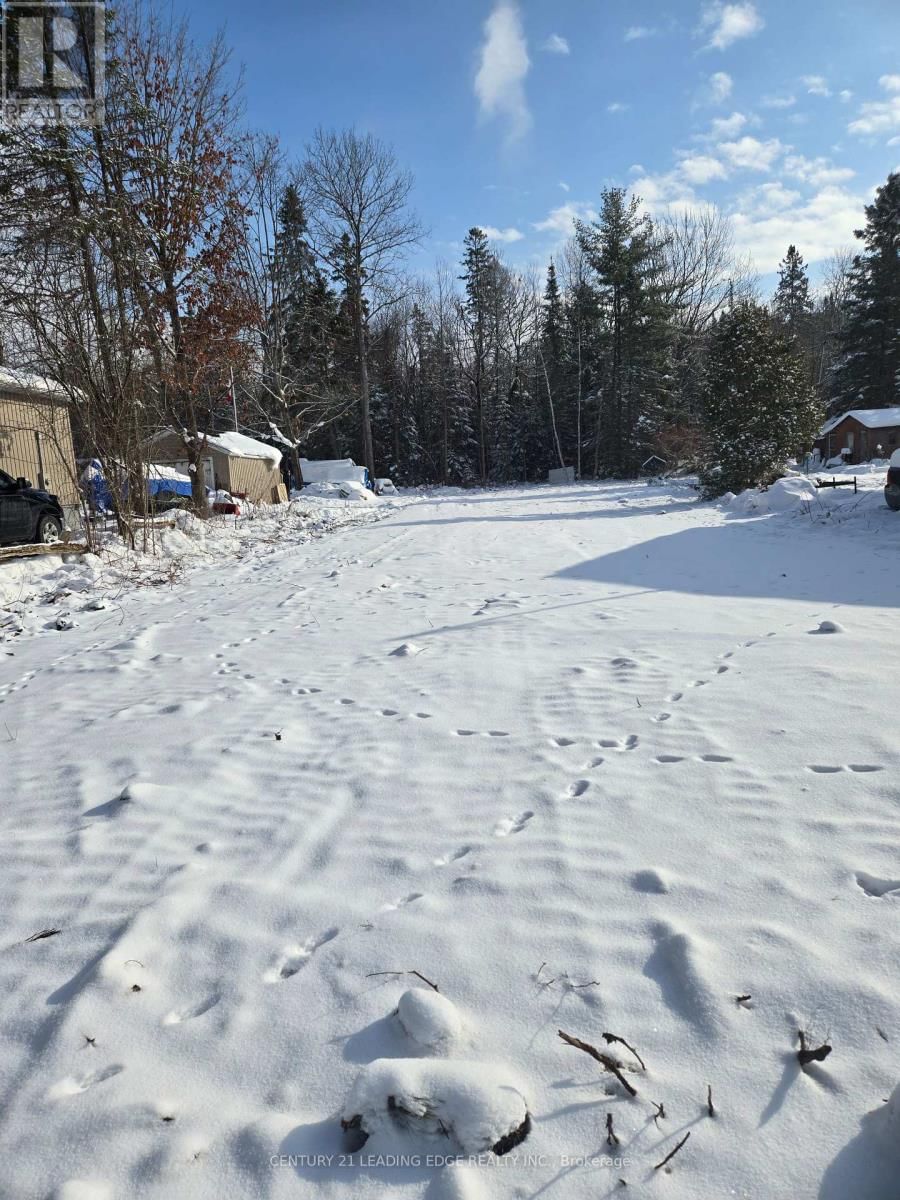 77 ANTIQUARY BEACH ROAD NORTH Image 3