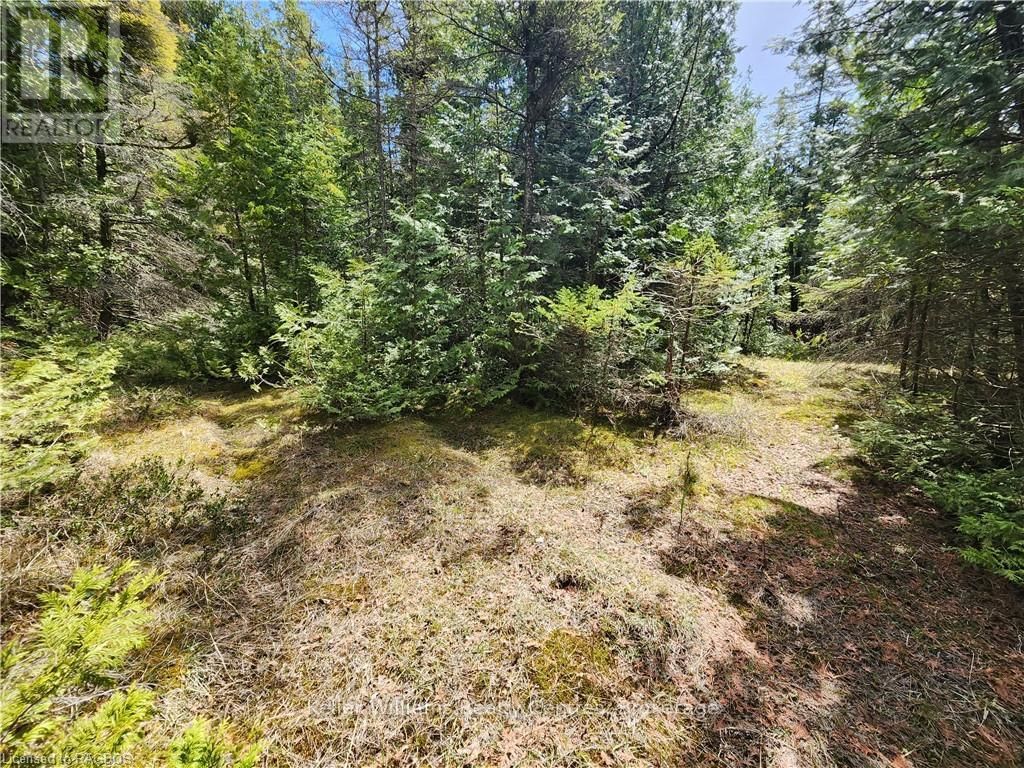 1061 SUNSET DRIVE Image 17