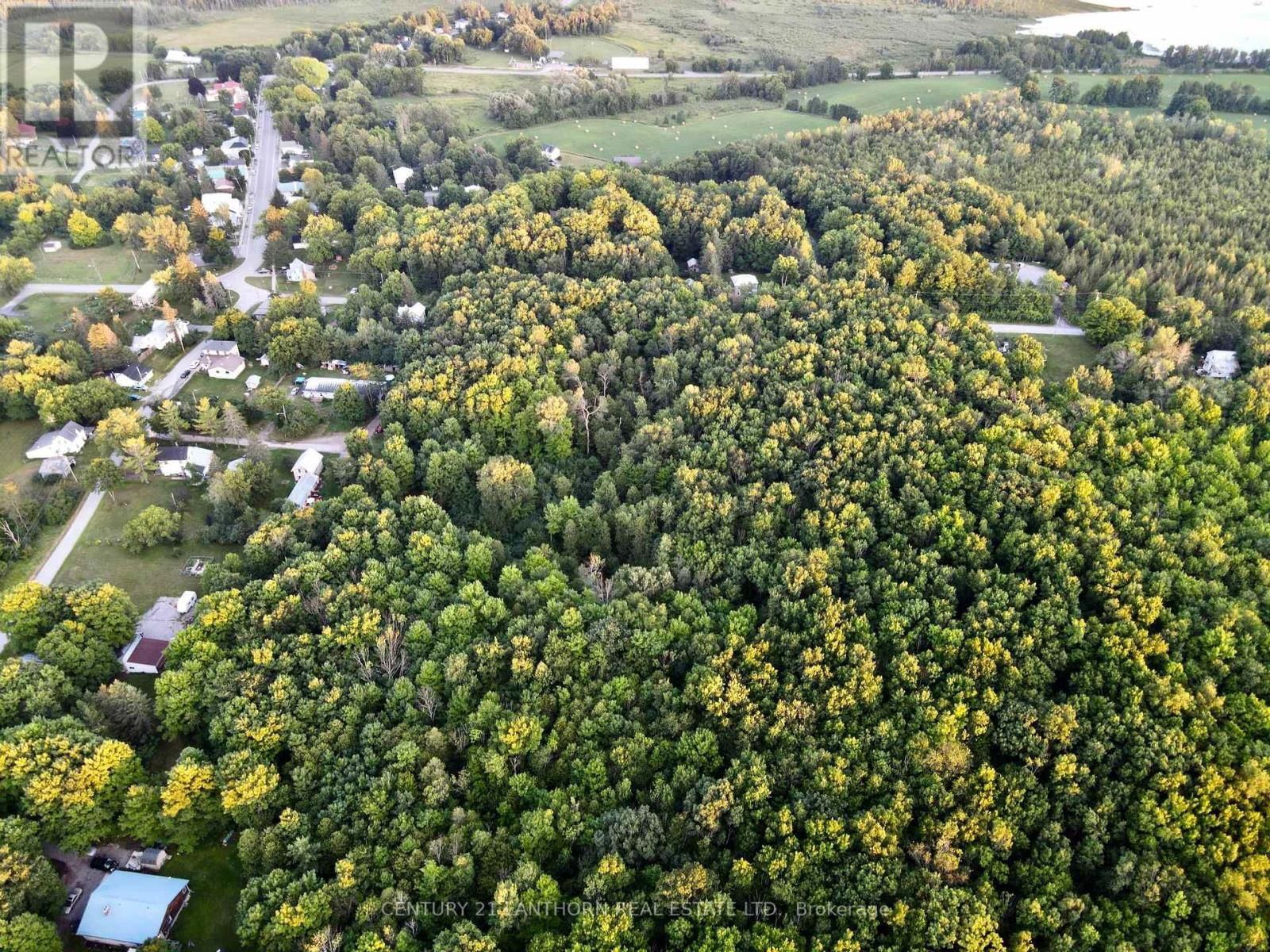 Primary Property View
