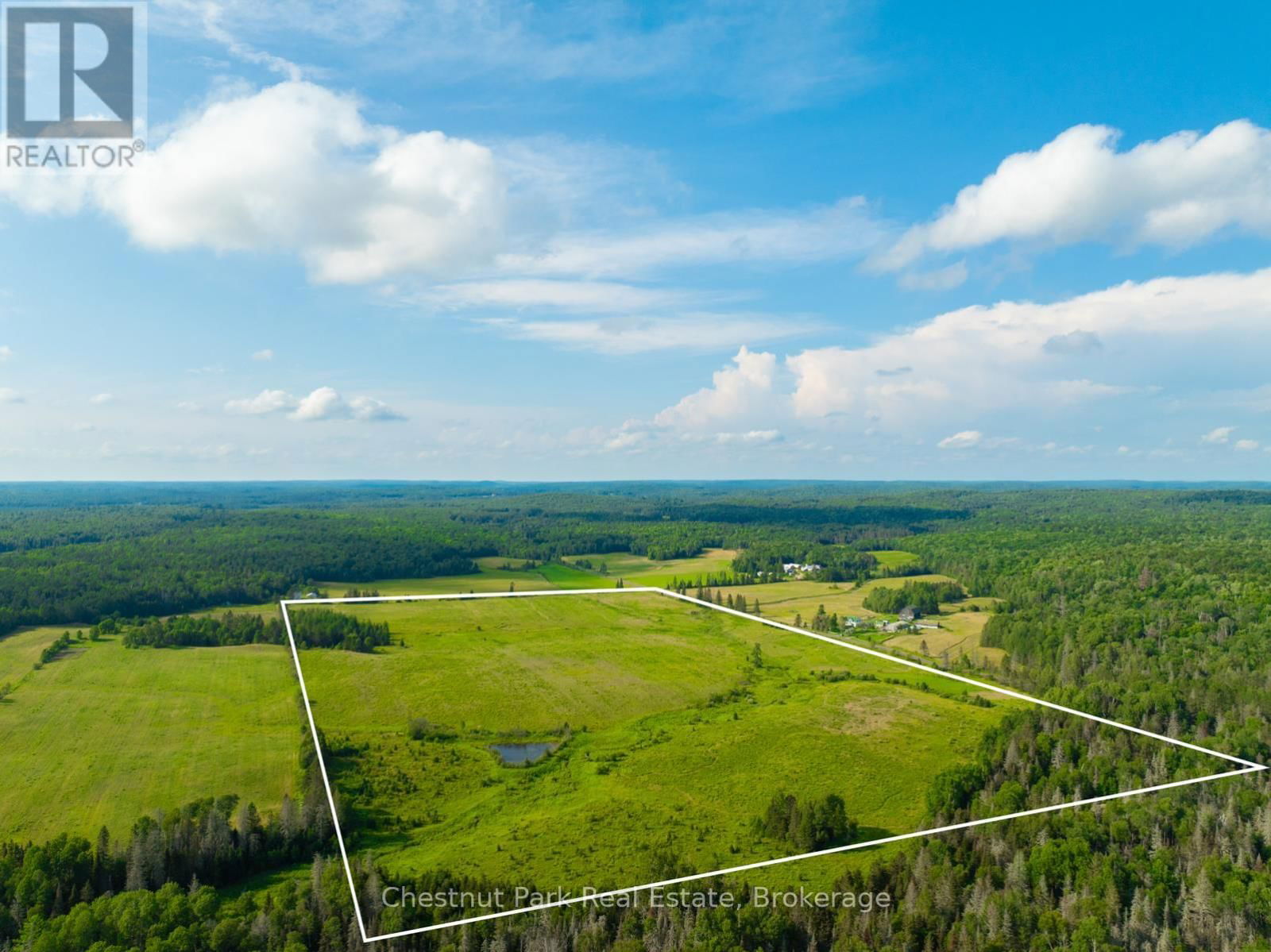 Primary Property View