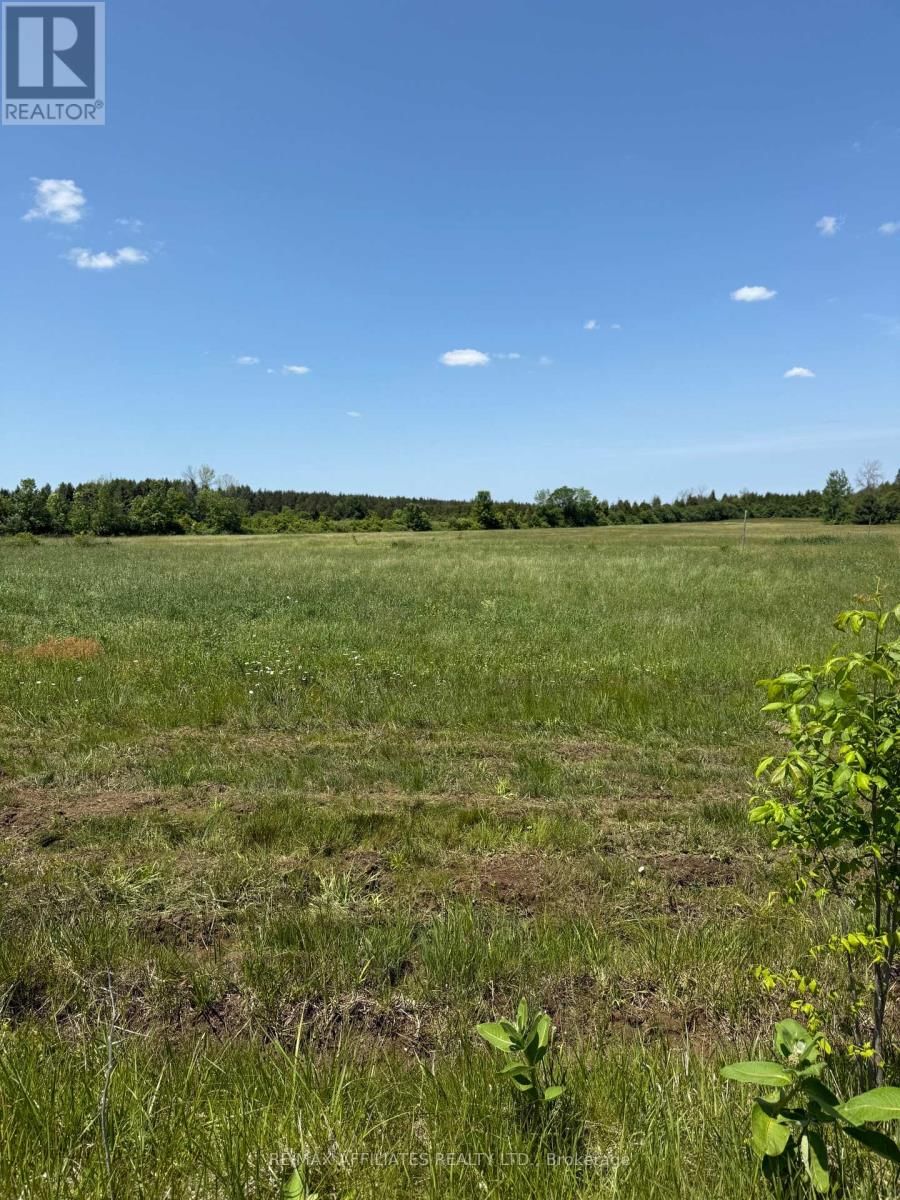 00 BRANCH ROAD Image 4