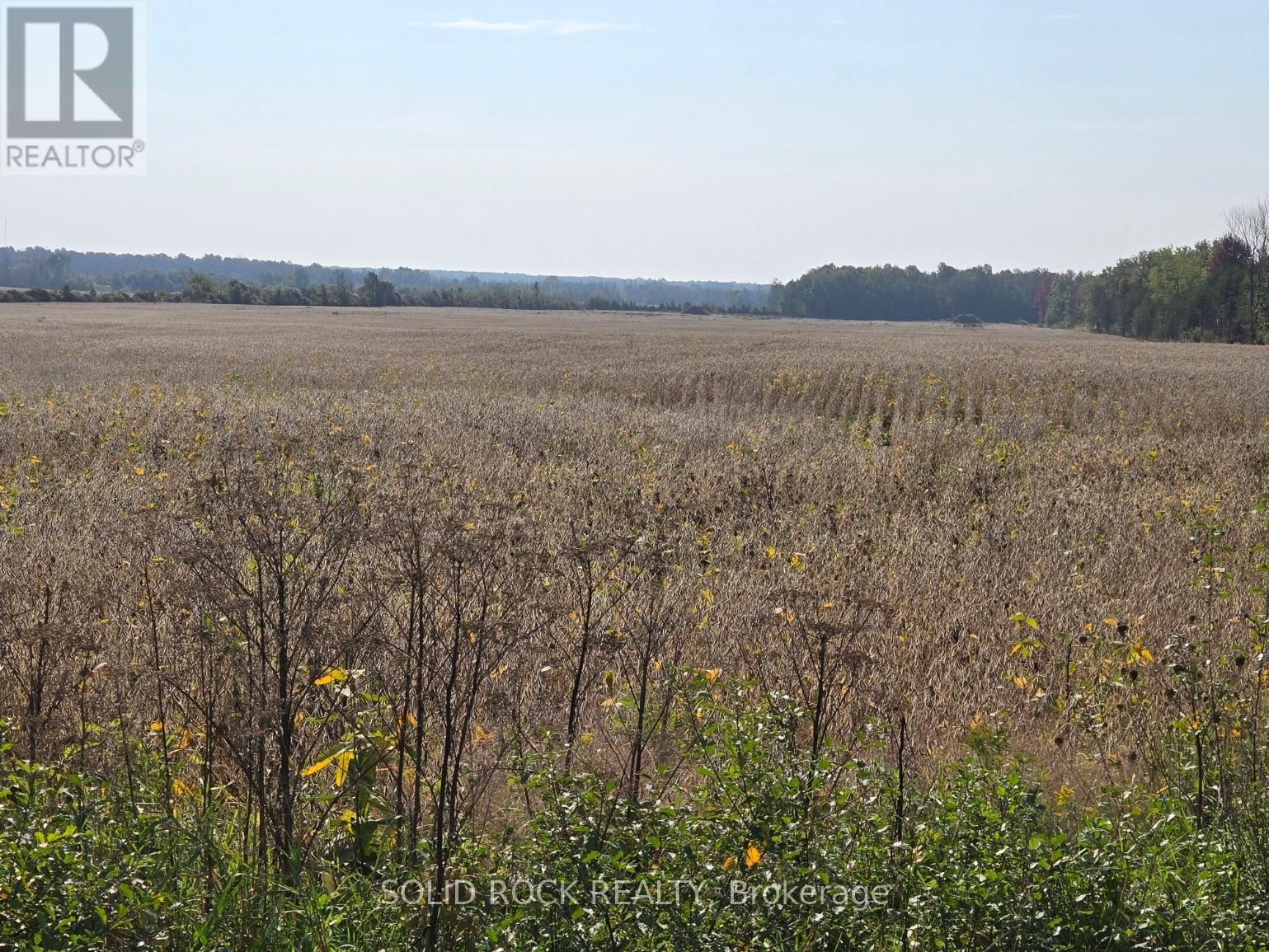 5353 ALGONQUIN ROAD Image 2