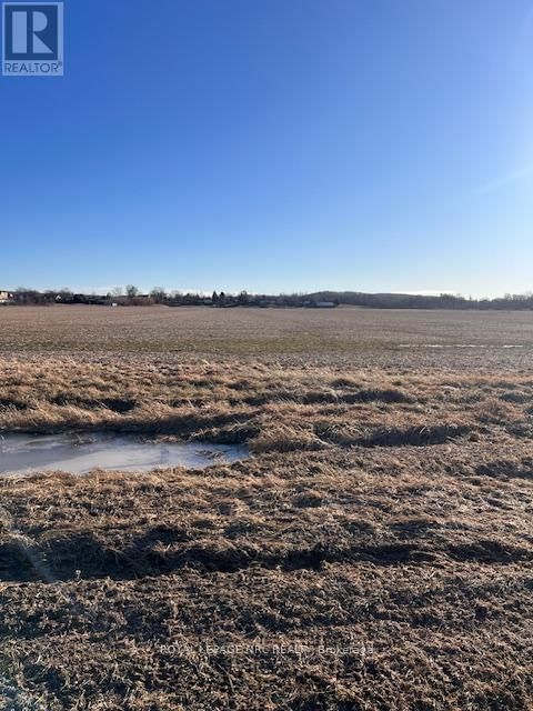 PL178-9 LINE 8 ROAD Image 1