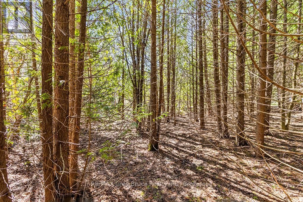 57 MAPLE GOLF CRESCENT Image 34