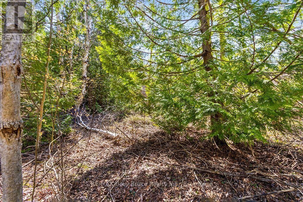 57 MAPLE GOLF CRESCENT Image 36
