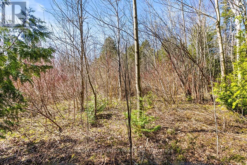 57 MAPLE GOLF CRESCENT Image 37