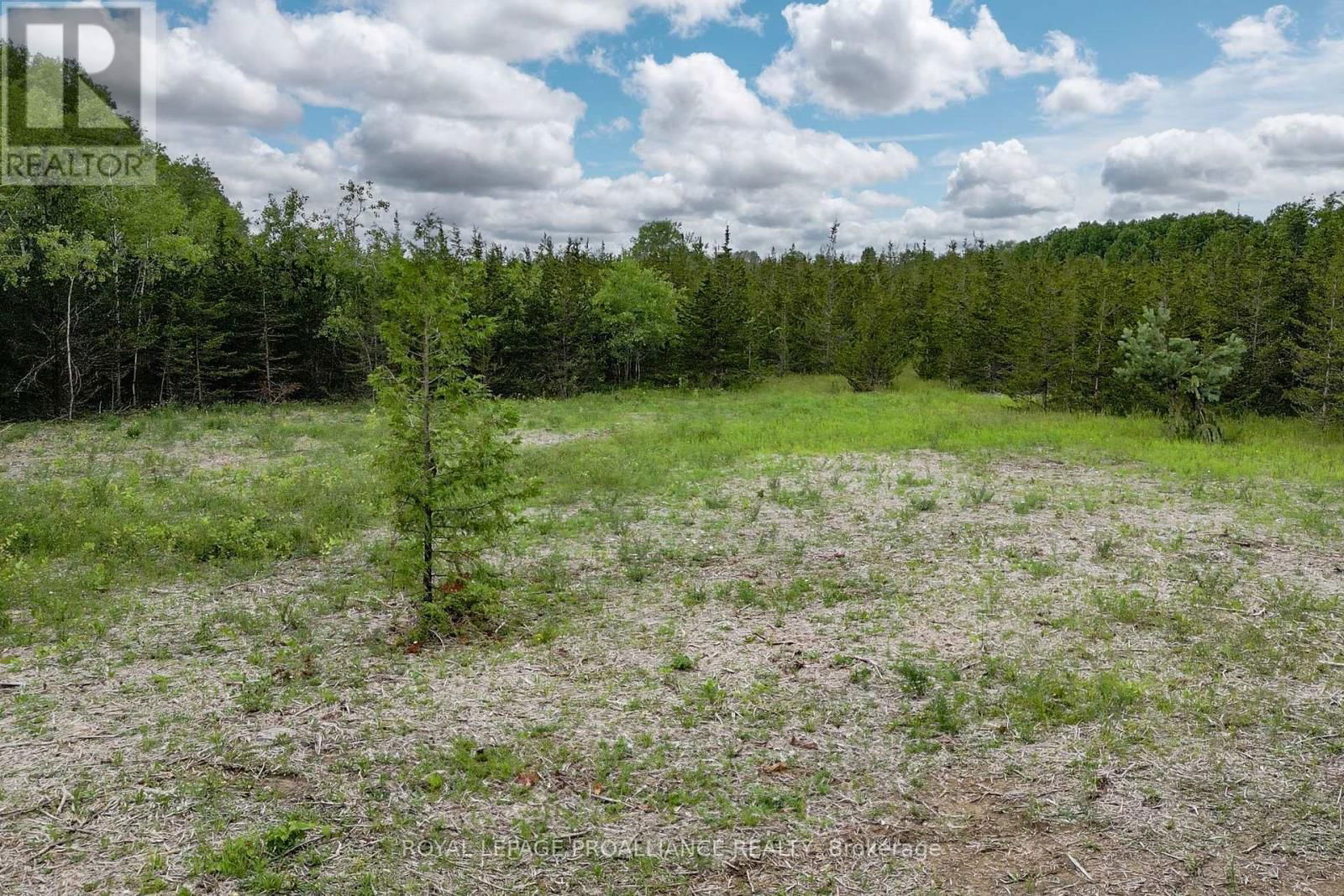 89 POWER ROAD Image 17