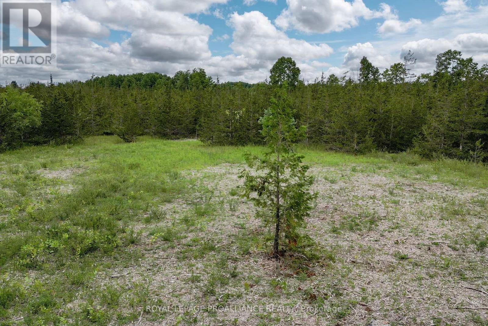 89 POWER ROAD Image 18