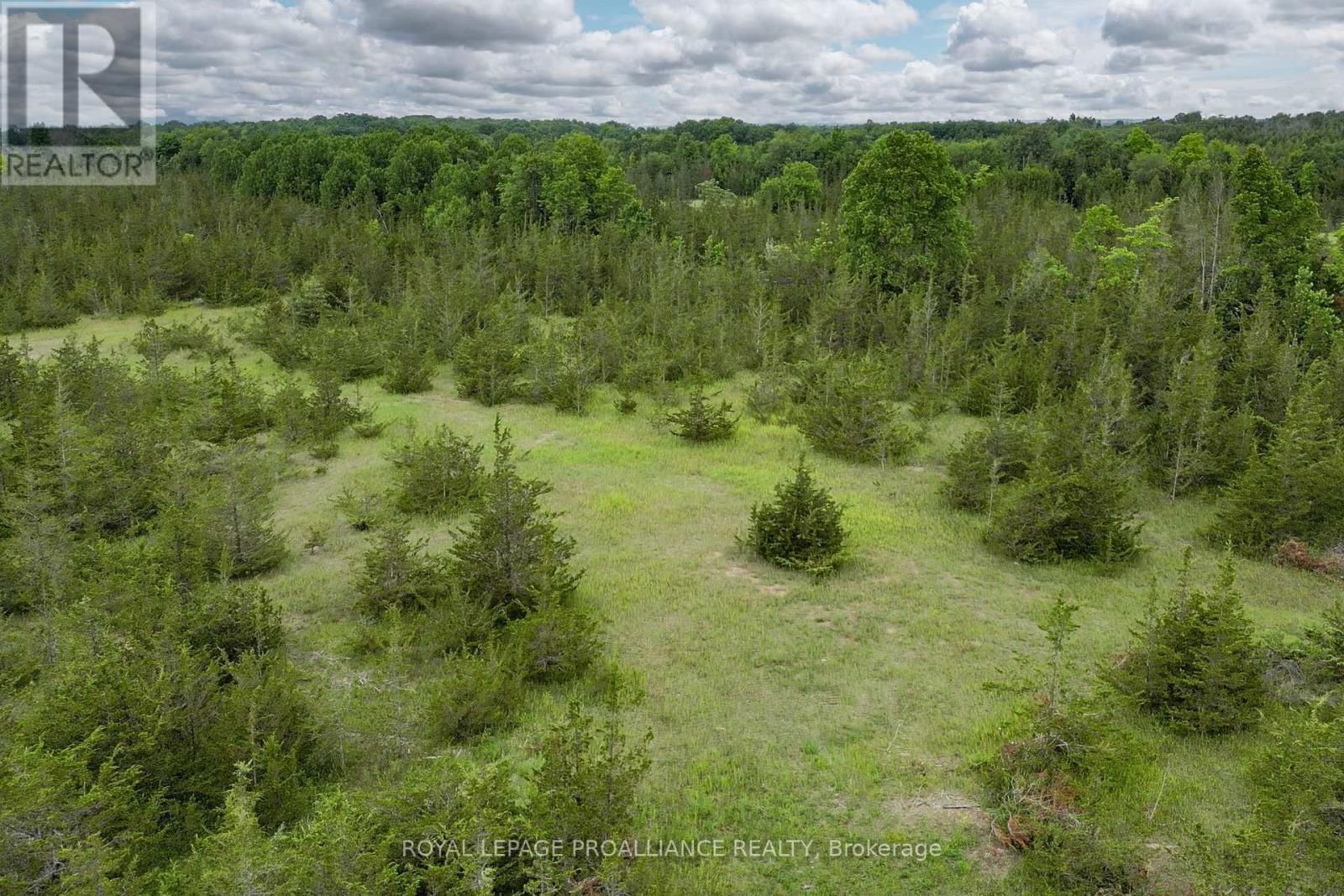 89 POWER ROAD Image 19