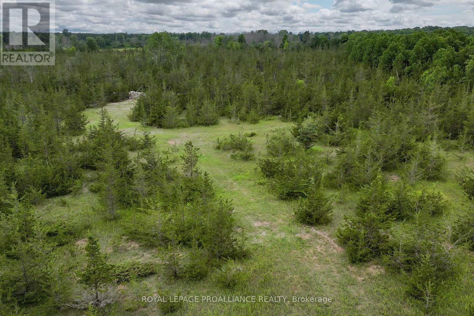 89 POWER ROAD Image 20