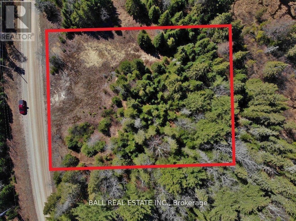 Primary Property View