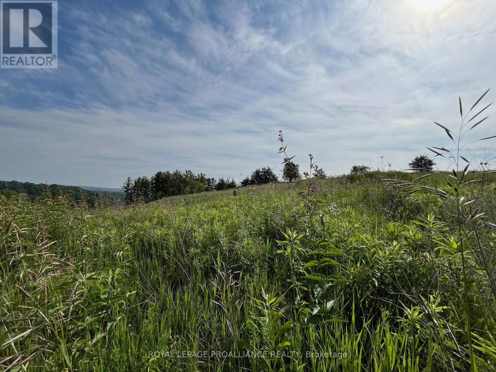 Lot 22 MCCARTY DRIVE Image 5