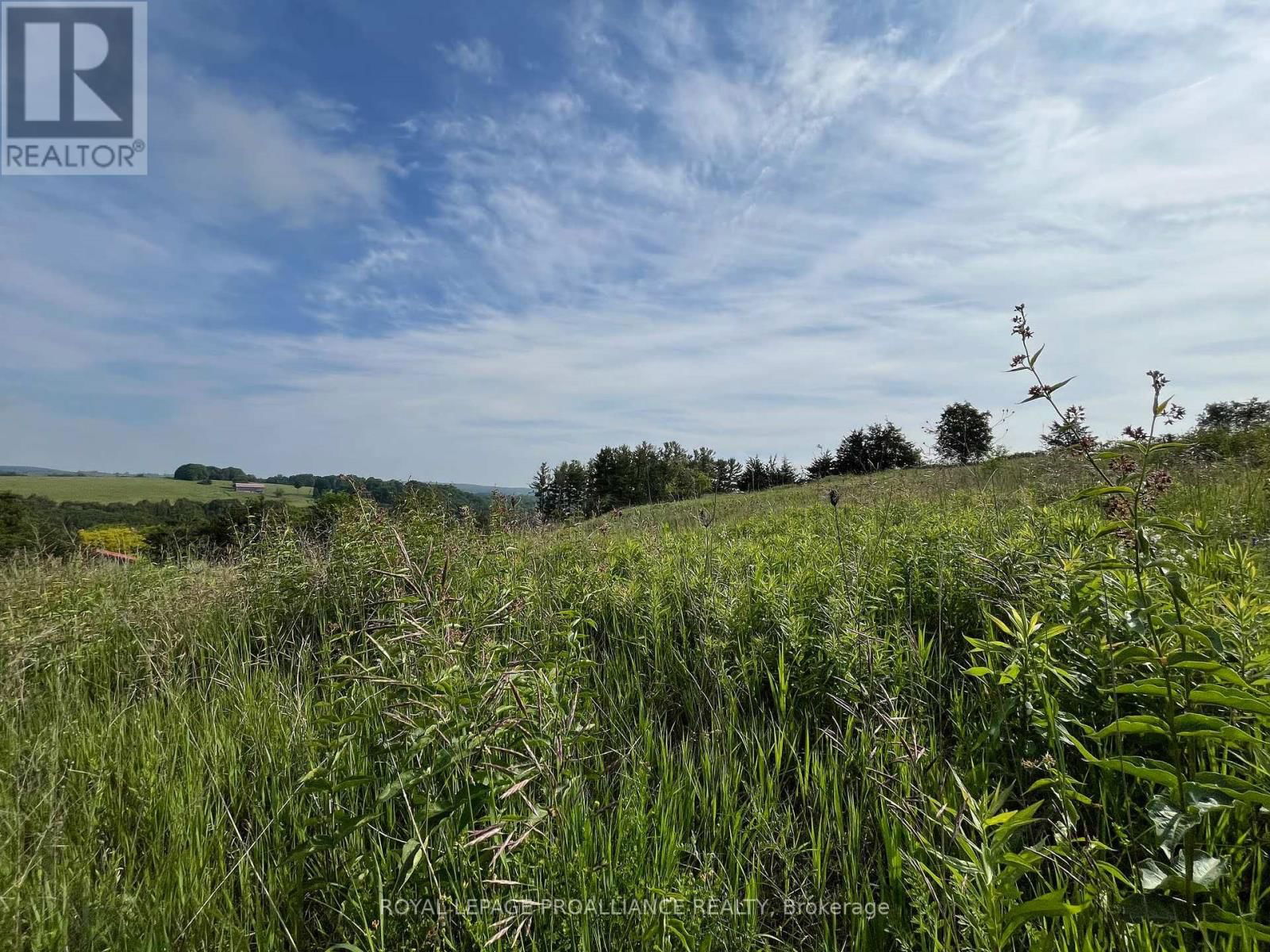 Lot 22 MCCARTY DRIVE Image 6