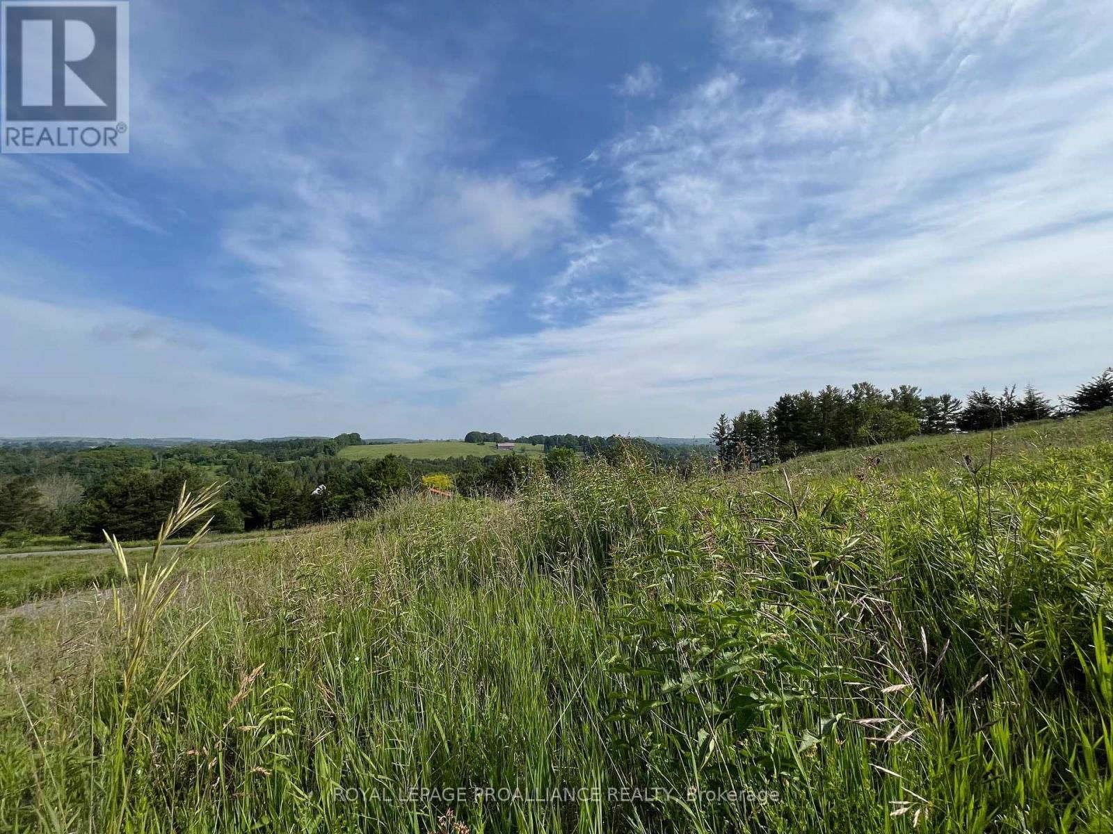 Lot 22 MCCARTY DRIVE Image 7