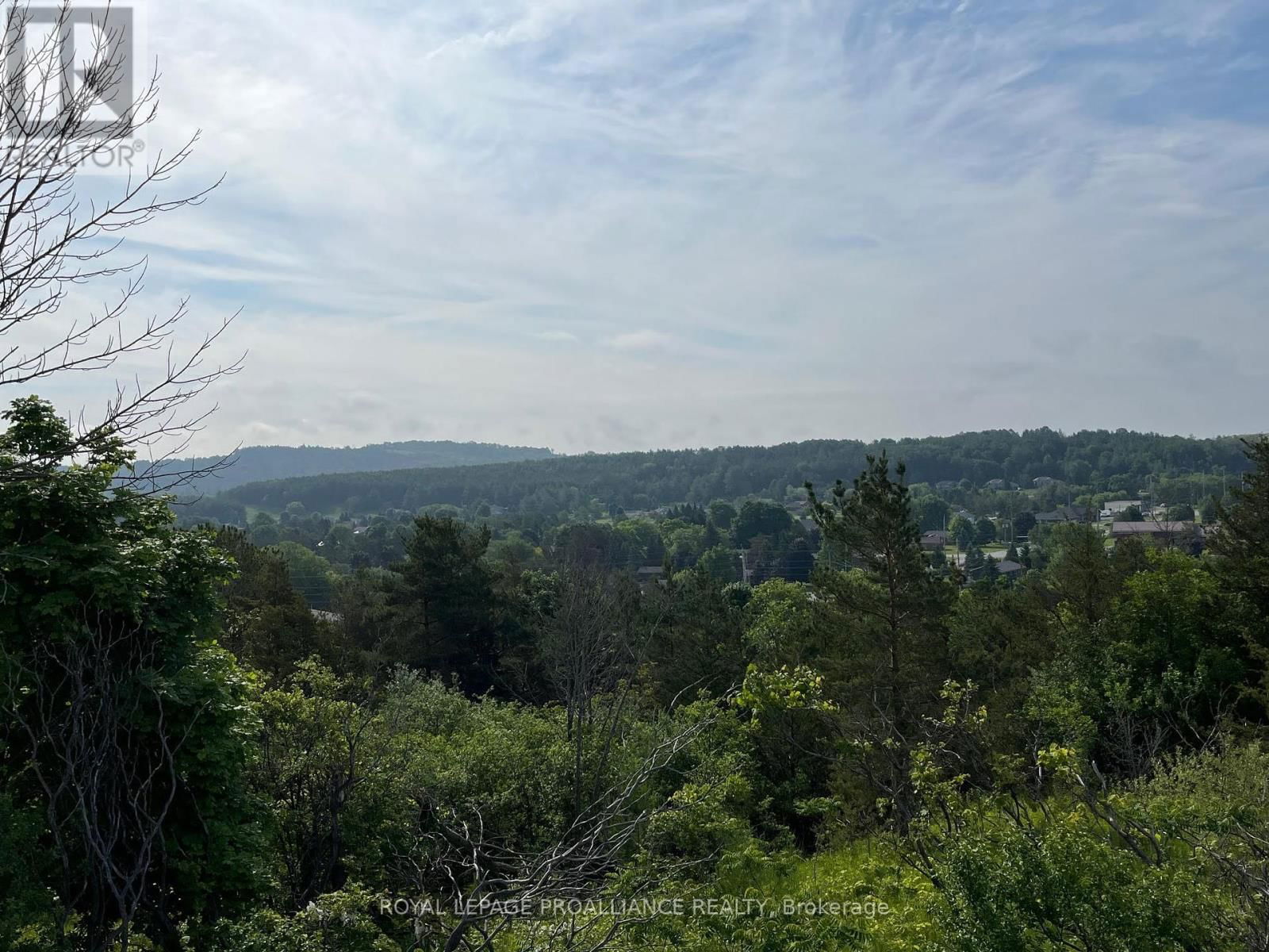 Lot 22 MCCARTY DRIVE Image 9